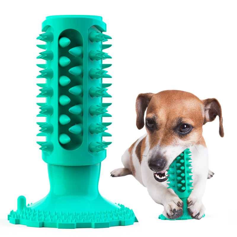 Pet Supplies In Amazon - Hundespielzeug mit Saugnapf, klangvoller Kau-Stick, Amazon-Bestseller,