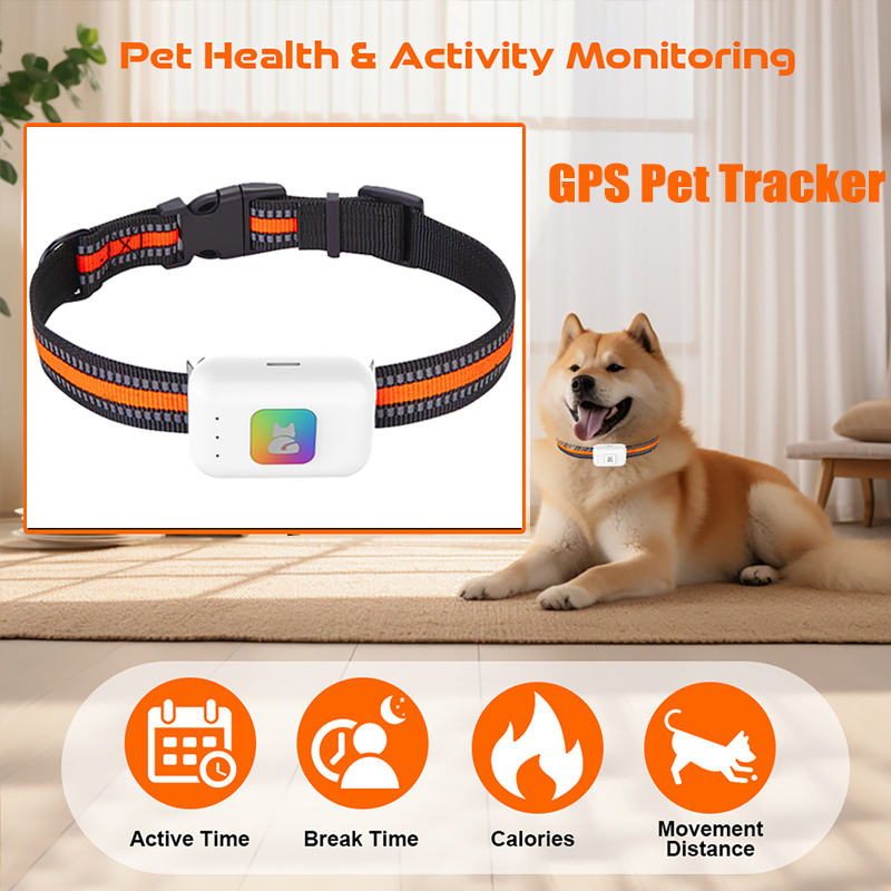 Pet Supplies Direct - Haustier-GPS-AGPS-Tracking-Gerät, 4G, Haustier-GPS-Tracker, Halsband, SOS Geofence,