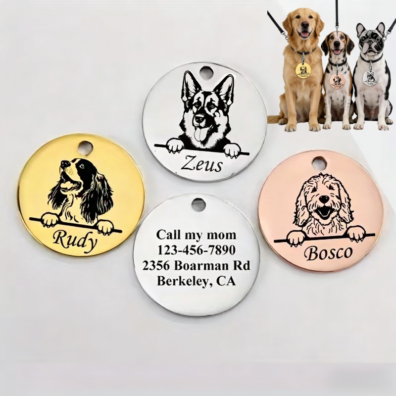 Pet Supplies Direct - Personalisierte Haustier-Namenshalsbänder für Welpen mit Gravur,