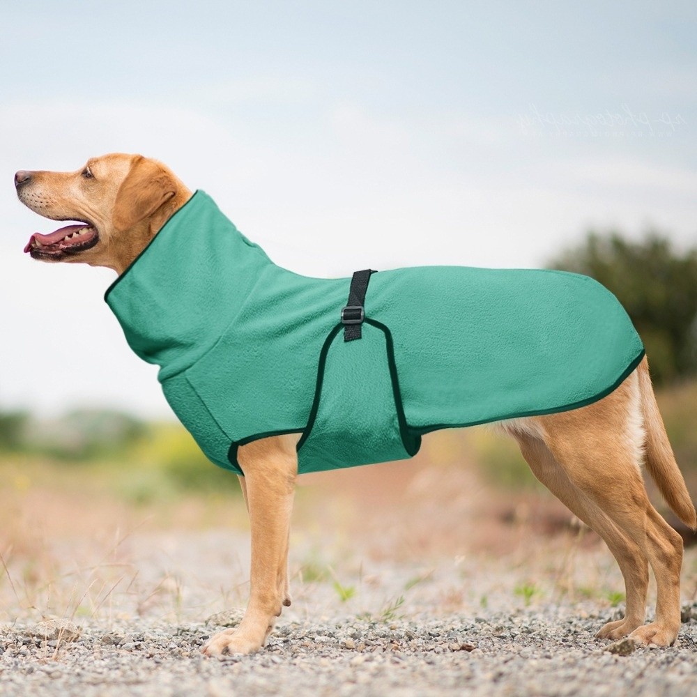 Einfarbige warme Winter-Hundek – Dog Anxiety Vest Bewertung und Preis