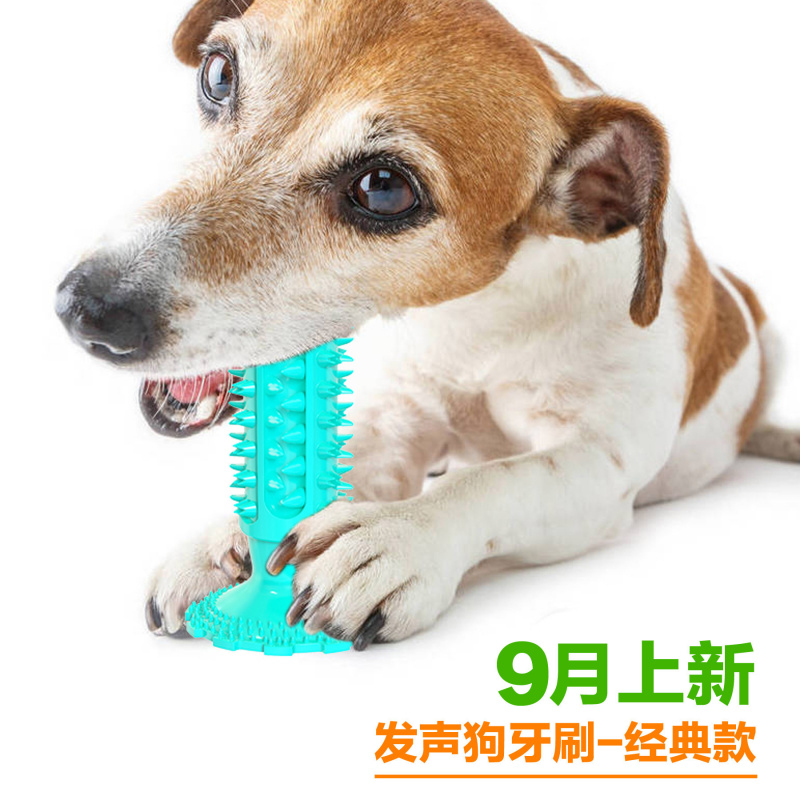 Hundespielzeug mit Saugnapf, k – Pet Supplies In Amazon Bewertung und Preis