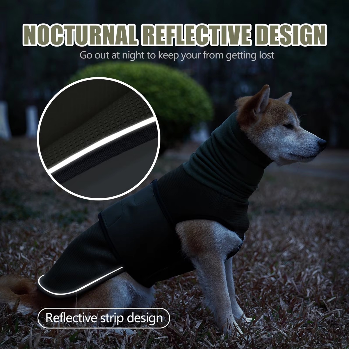 Angstweste und Mantel für Hund – Dog Anxiety Vest Bewertung und Preis