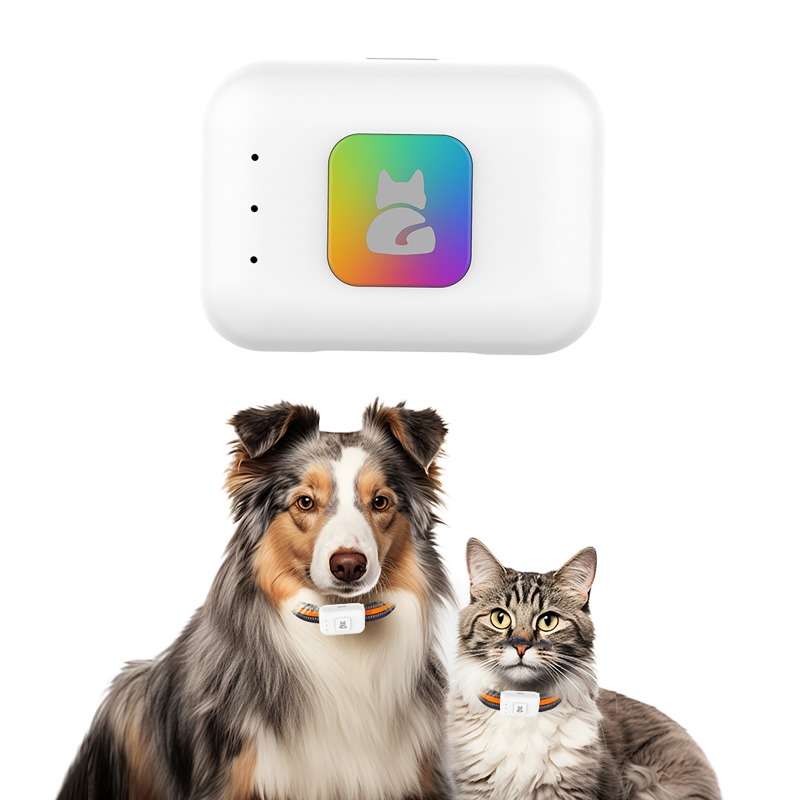 Haustier-GPS-AGPS-Tracking-Ger – Pet Supplies Direct Bewertung und Preis
