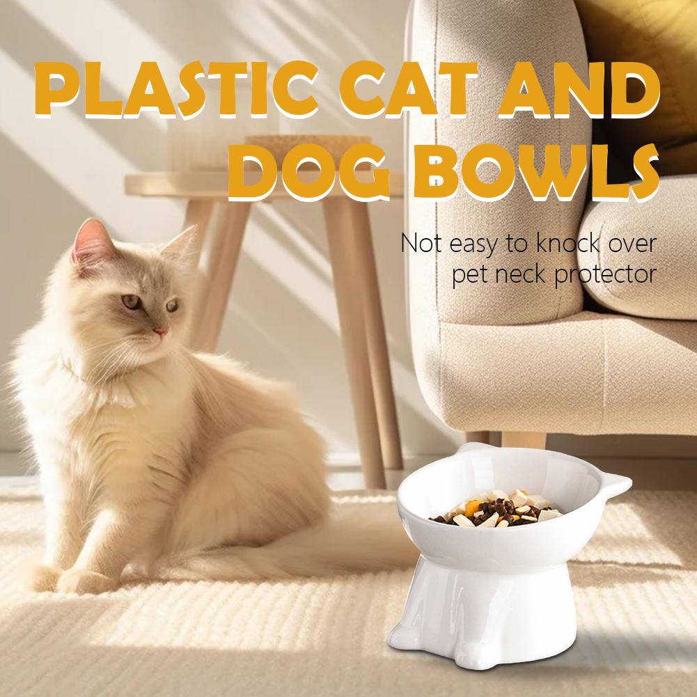 Schwarze Katzenschüssel Amazon – Pet Supplies In Amazon Bewertung und Preis