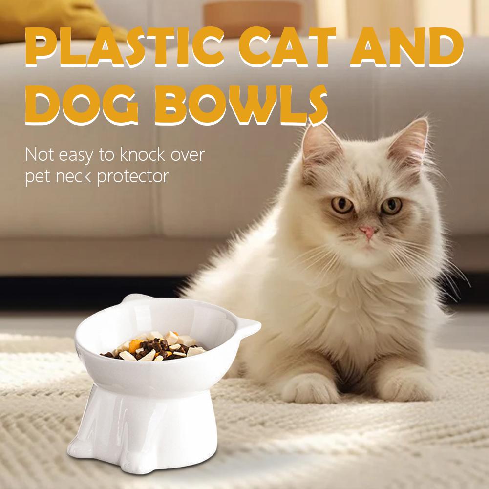 Schwarze Katzenschüssel Amazon – Pet Supplies In Amazon Bewertung und Preis