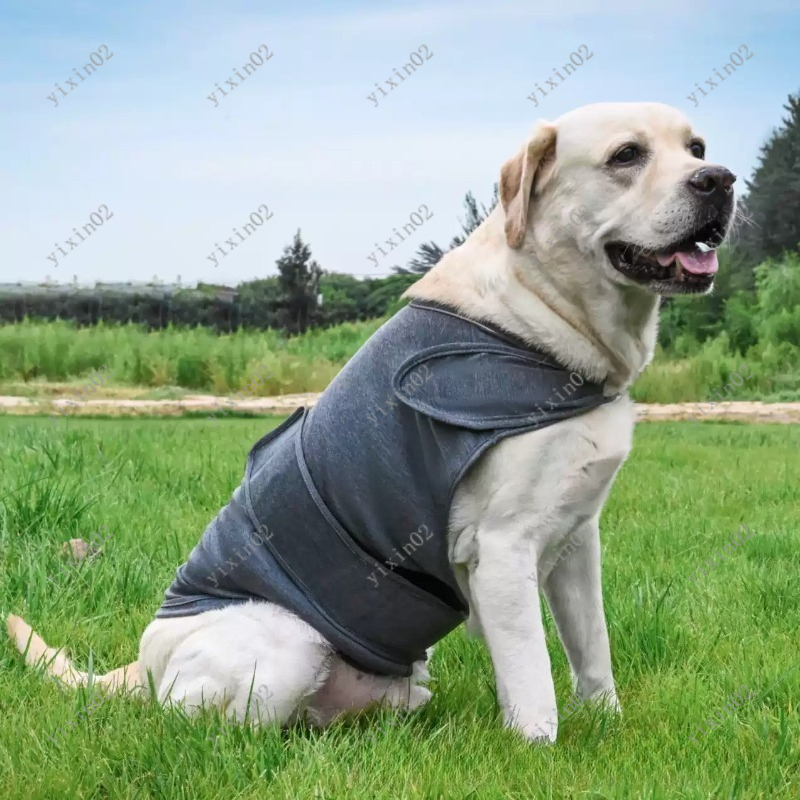 Klassische Atmungsaktive Hunde – Dog Anxiety Vest Bewertung und Preis