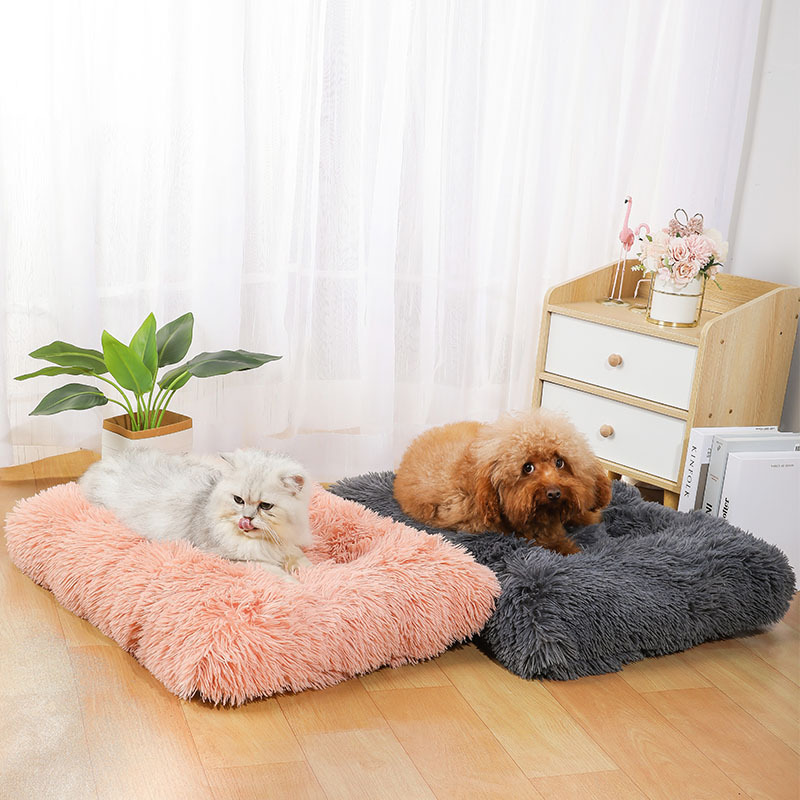 Neue Amazon-Hundematte: Langfl – Pet Supplies In Amazon Bewertung und Preis
