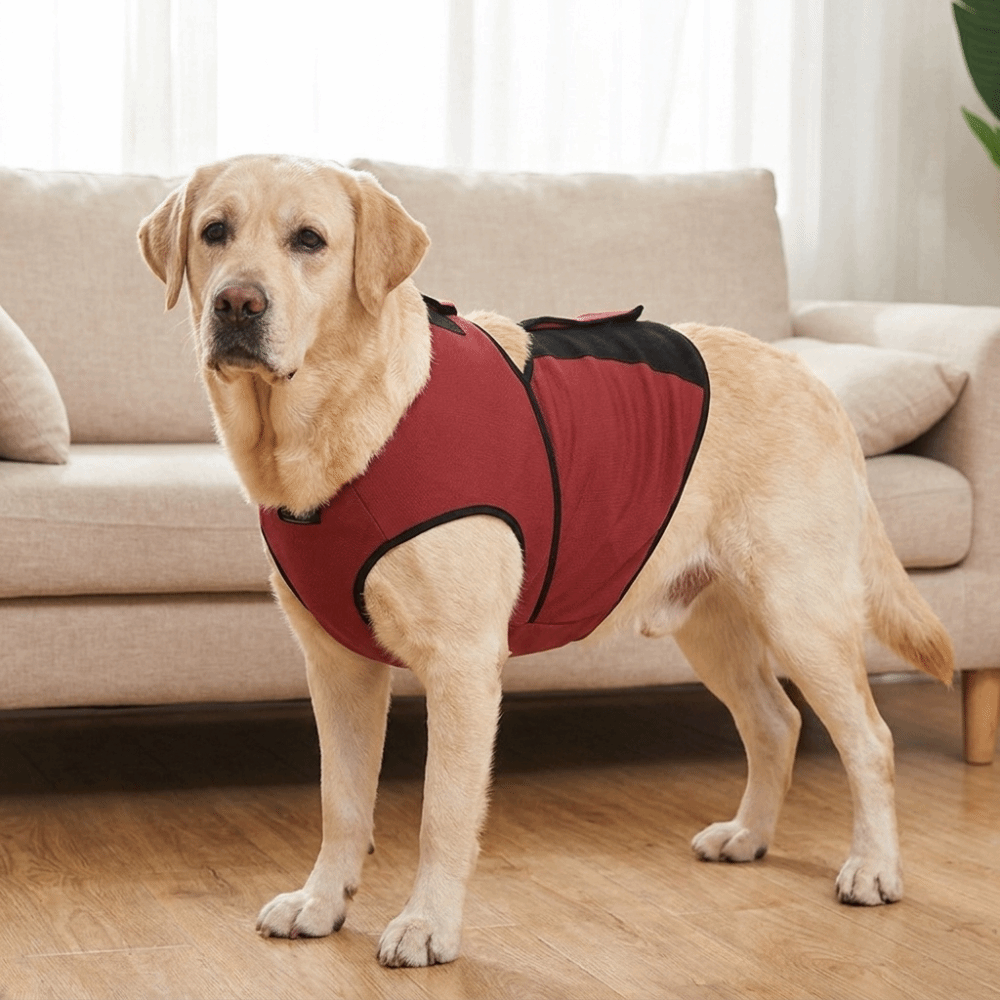 Praktische, atmungsaktive, ber – Dog Anxiety Vest Bewertung und Preis
