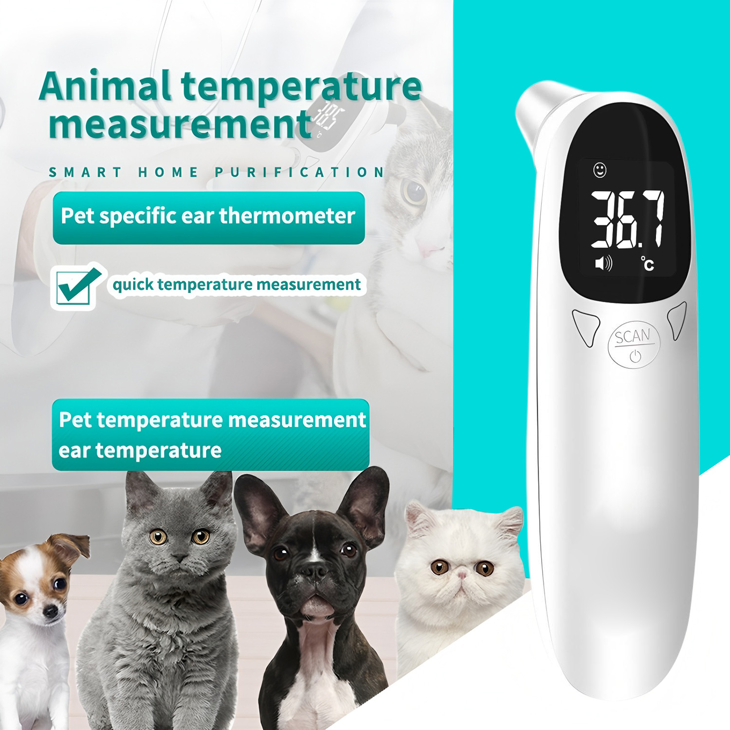 Digitales Ohrthermometer für H – Pet Supplies Direct Bewertung und Preis