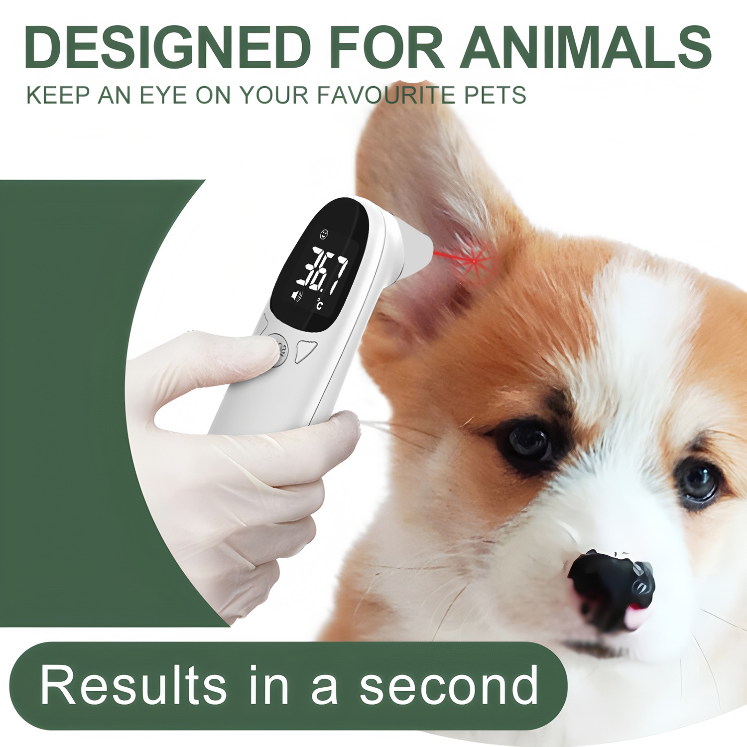Digitales Ohrthermometer für H – Pet Supplies Direct Bewertung und Preis