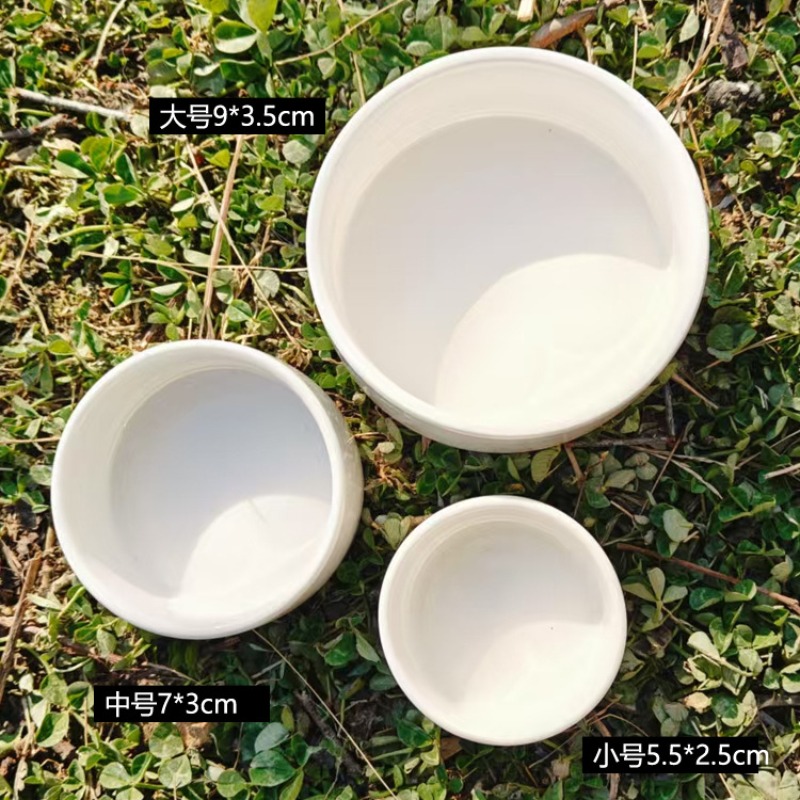 Keramik-Wasserschale für Repti – Pet Supplies In Amazon Bewertung und Preis