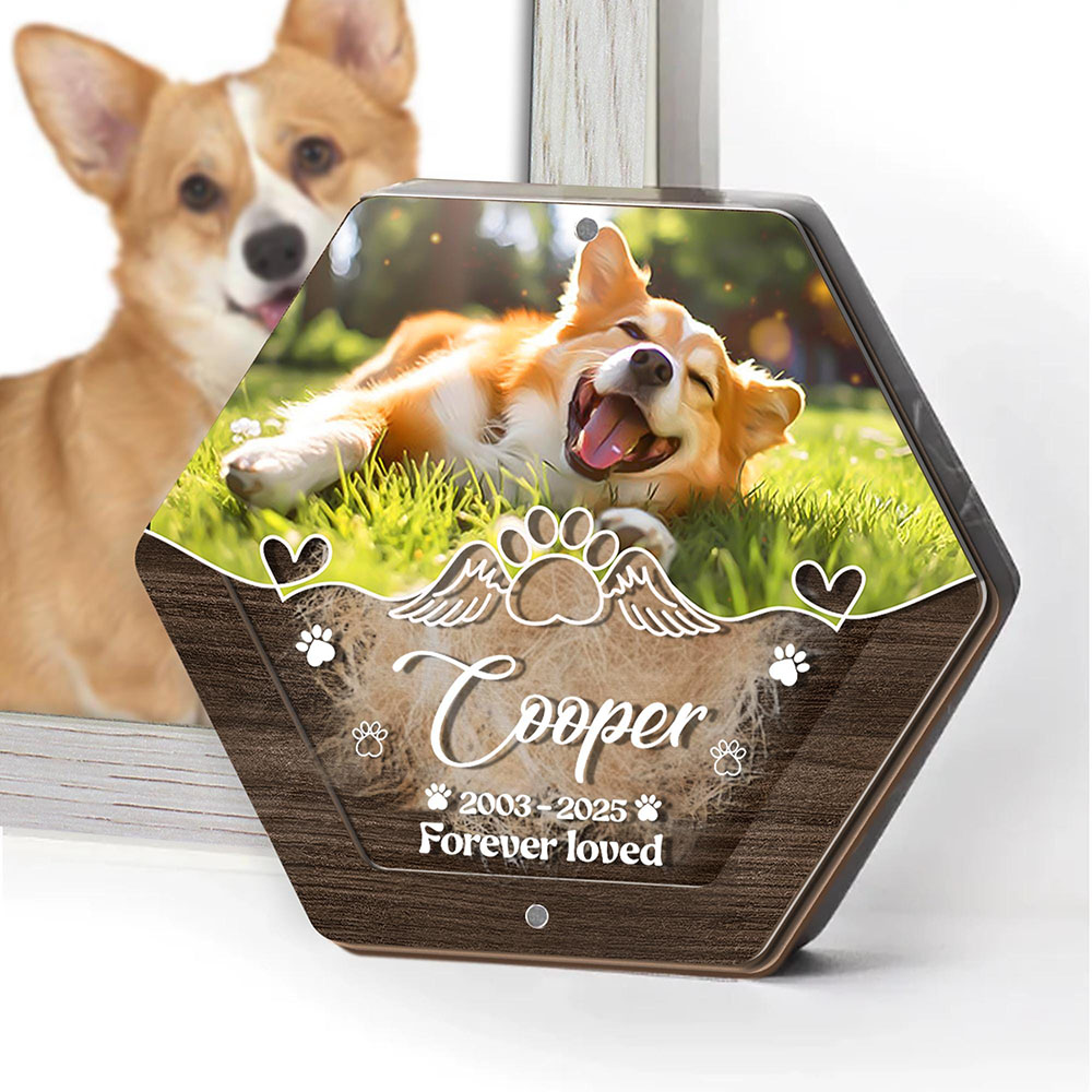Personalisierte Name Holzschni – Pet Supplies Direct Bewertung und Preis