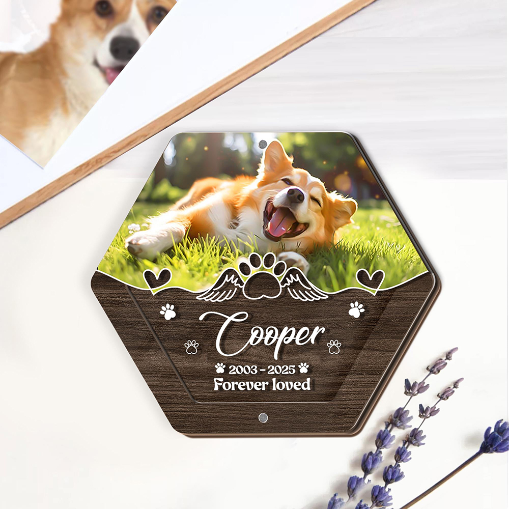 Personalisierte Name Holzschni – Pet Supplies Direct Bewertung und Preis