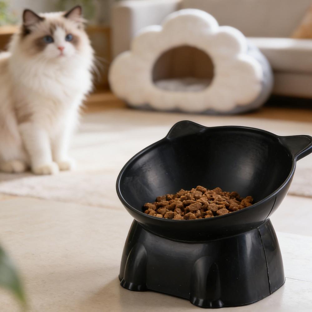 Schwarze Katzenschüssel Amazon – Pet Supplies In Amazon Bewertung und Preis