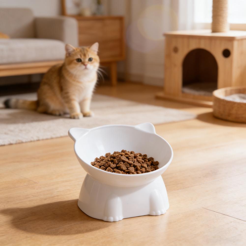 Schwarze Katzenschüssel Amazon – Pet Supplies In Amazon Bewertung und Preis