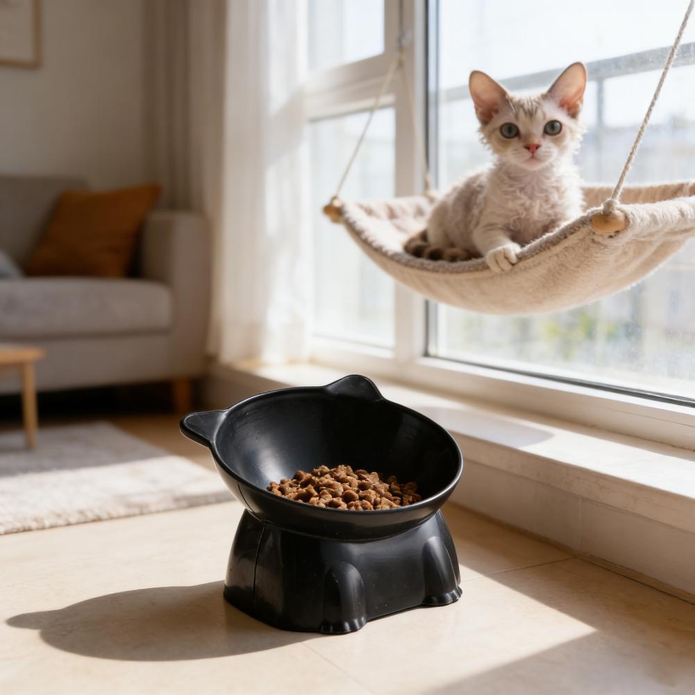 Schwarze Katzenschüssel Amazon – Pet Supplies In Amazon Bewertung und Preis