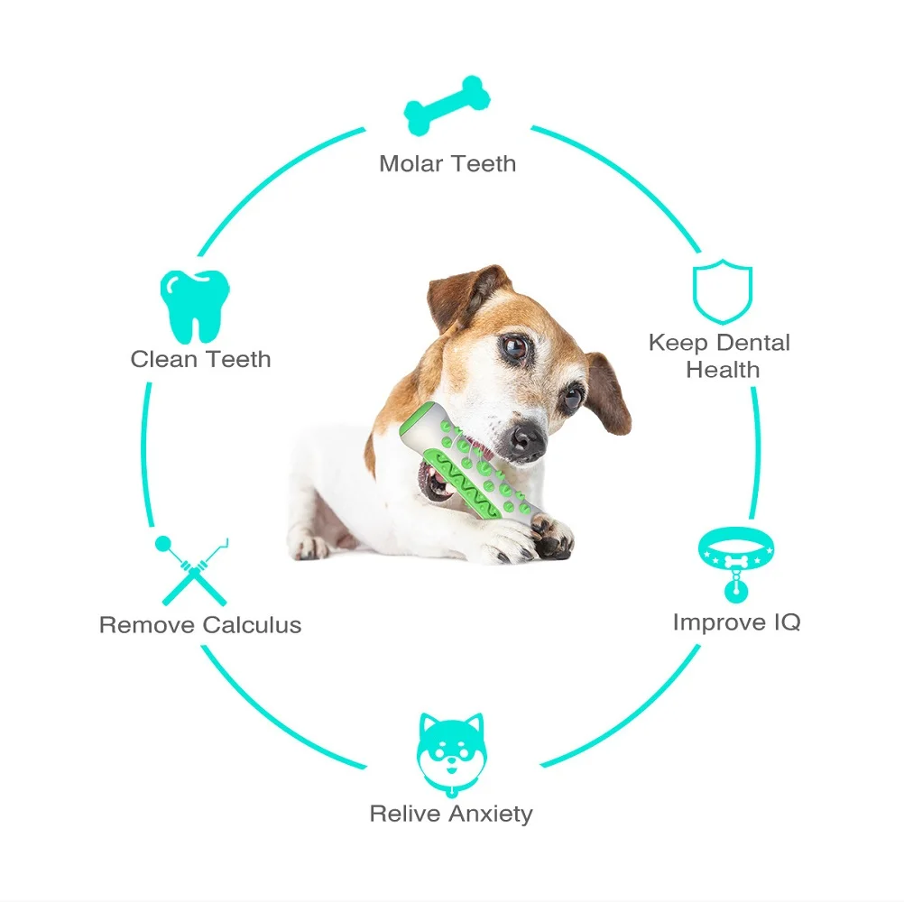 Heimtierbedarf Amazon Pop Hund – Pet Supplies In Amazon Bewertung und Preis