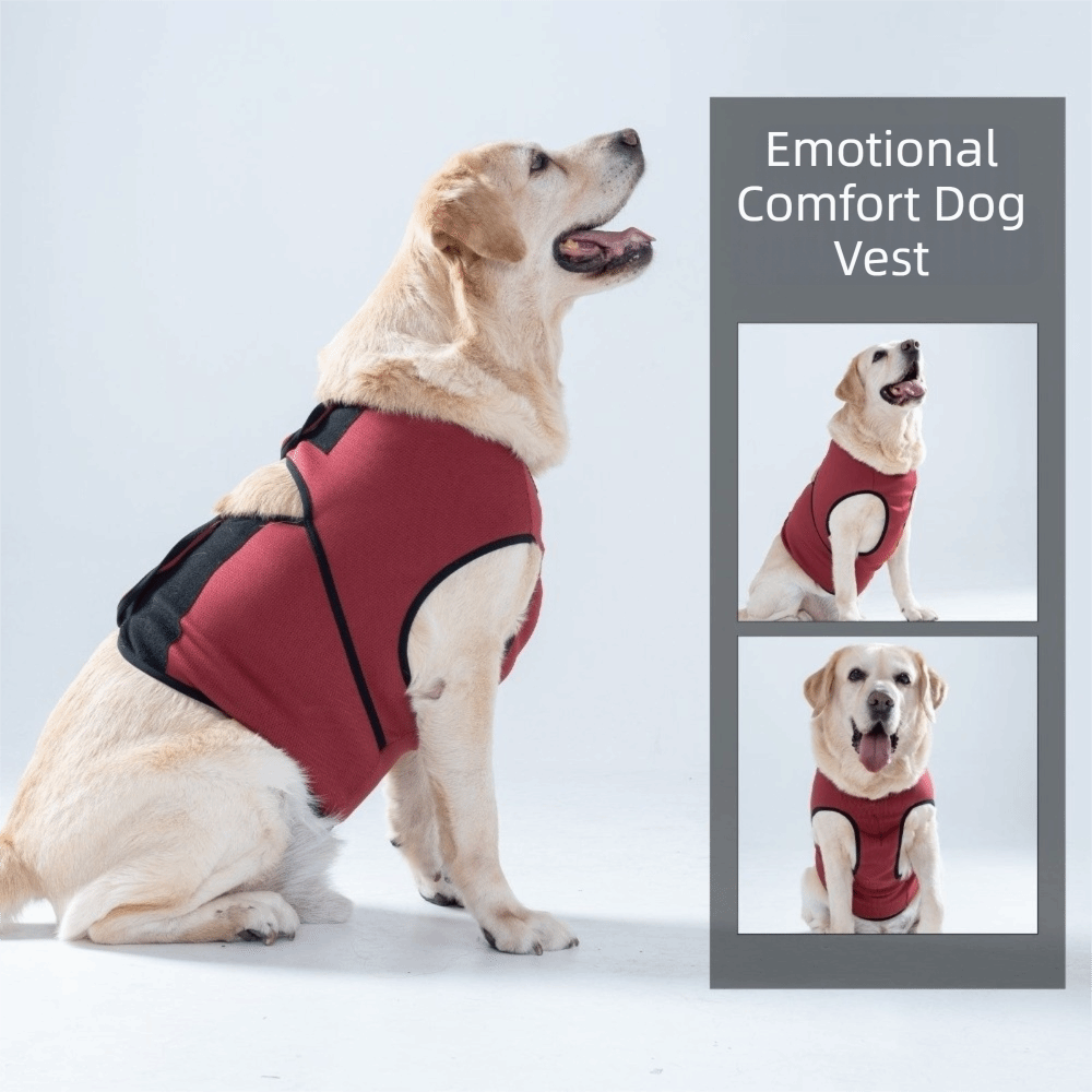 Atmungsaktive Beruhigungs- und – Dog Anxiety Vest Bewertung und Preis