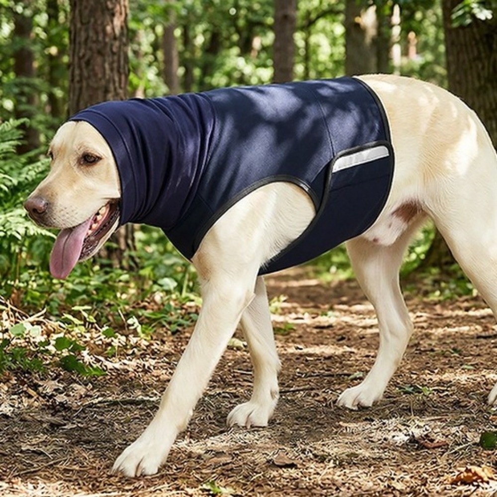 Geräuschdämmende Angstweste fü – Dog Anxiety Vest Bewertung und Preis