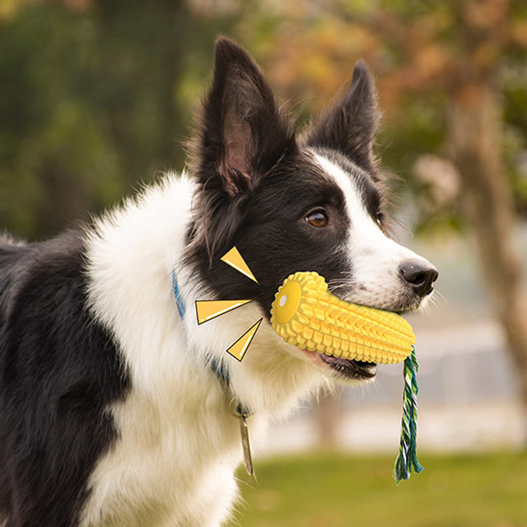 Quietschendes Corn-Dog-Zahnbür – Pet Supplies In Amazon Bewertung und Preis