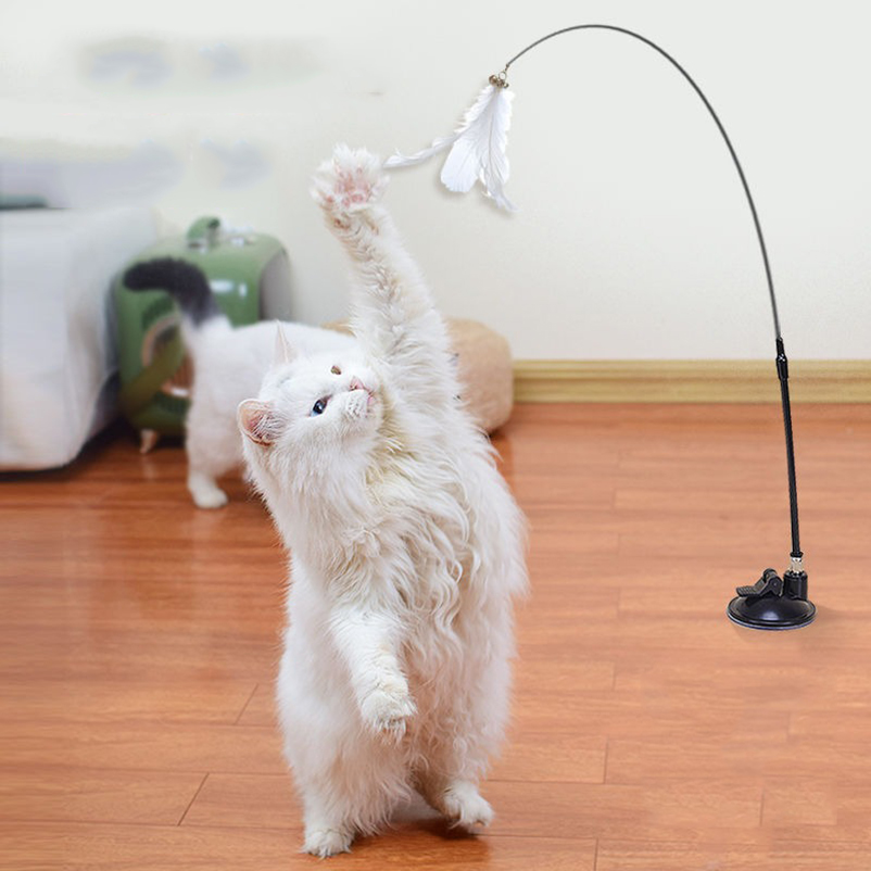 Neuer leistungsstarker Katzens – Pet Supplies In Amazon Bewertung und Preis