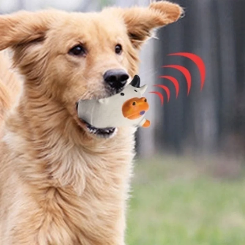 Haustierzubehör Amazon Bestsel – Pet Supplies In Amazon Bewertung und Preis