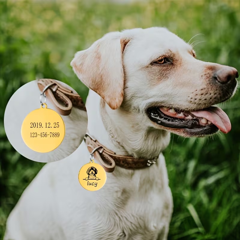 Personalisierte Haustier-Namen – Pet Supplies Direct Bewertung und Preis