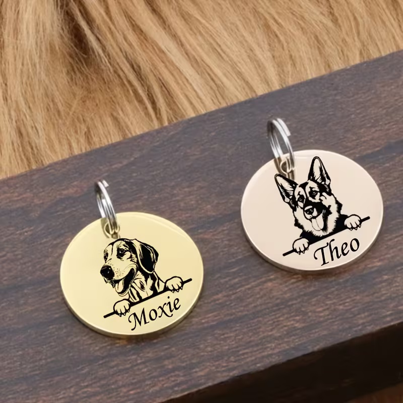 Personalisierte Haustier-Namen – Pet Supplies Direct Bewertung und Preis